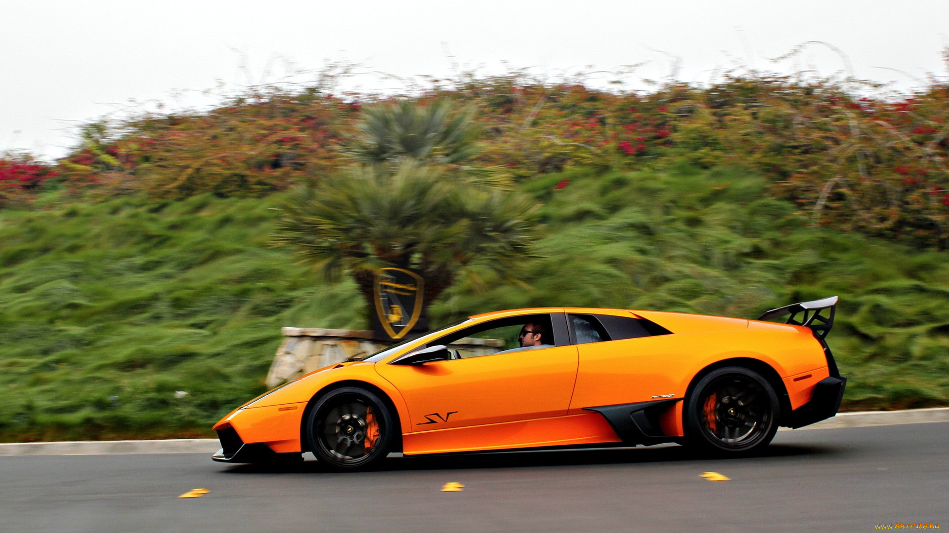 lamborghini, murcielago, 